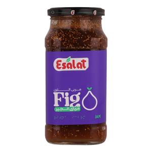 مربا انجیر ۷۵۰ گرمی اصالت