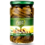 خیار شور ویژه دلوسه ، 680 گرمی